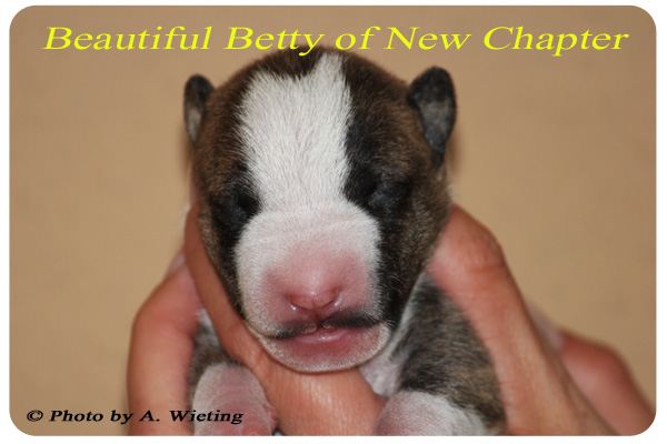Beautiful-Betty-front-Tag6