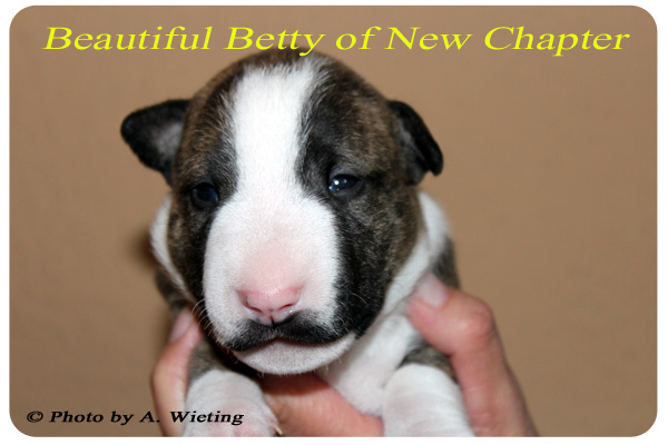 Beautiful-Betty-front-Tag21