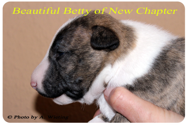 Beautiful-Betty-seite-Tag21
