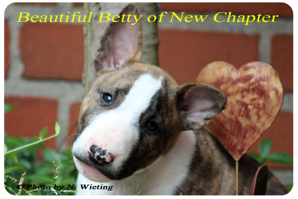 Beautiful-Betty-front-57Tag